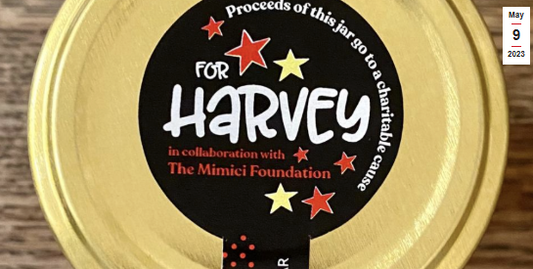 Gee’s Jams Fundraiser 2023 – Help Harvey Heal