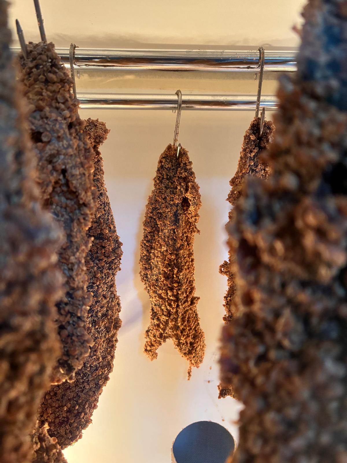 Honey Biltong